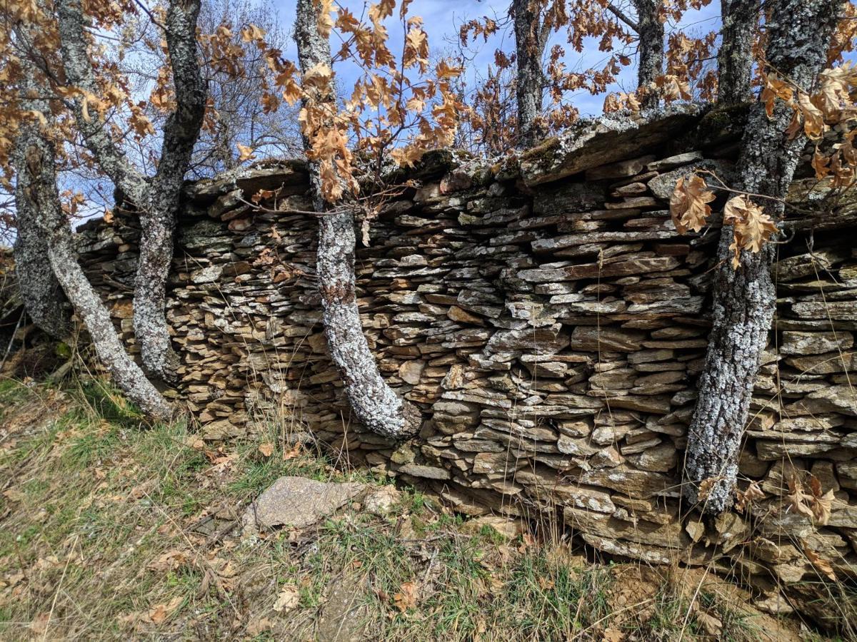 Casa Rural Fuente Del Arca Montejo Montejo de la Sierra Kültér fotó